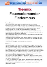 Feuersalamander - Fledermaus.pdf